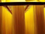 東北玉米棒怎么做?東北玉米棒商業配方工藝,東北玉米棒制作技巧,東北玉米棒做法